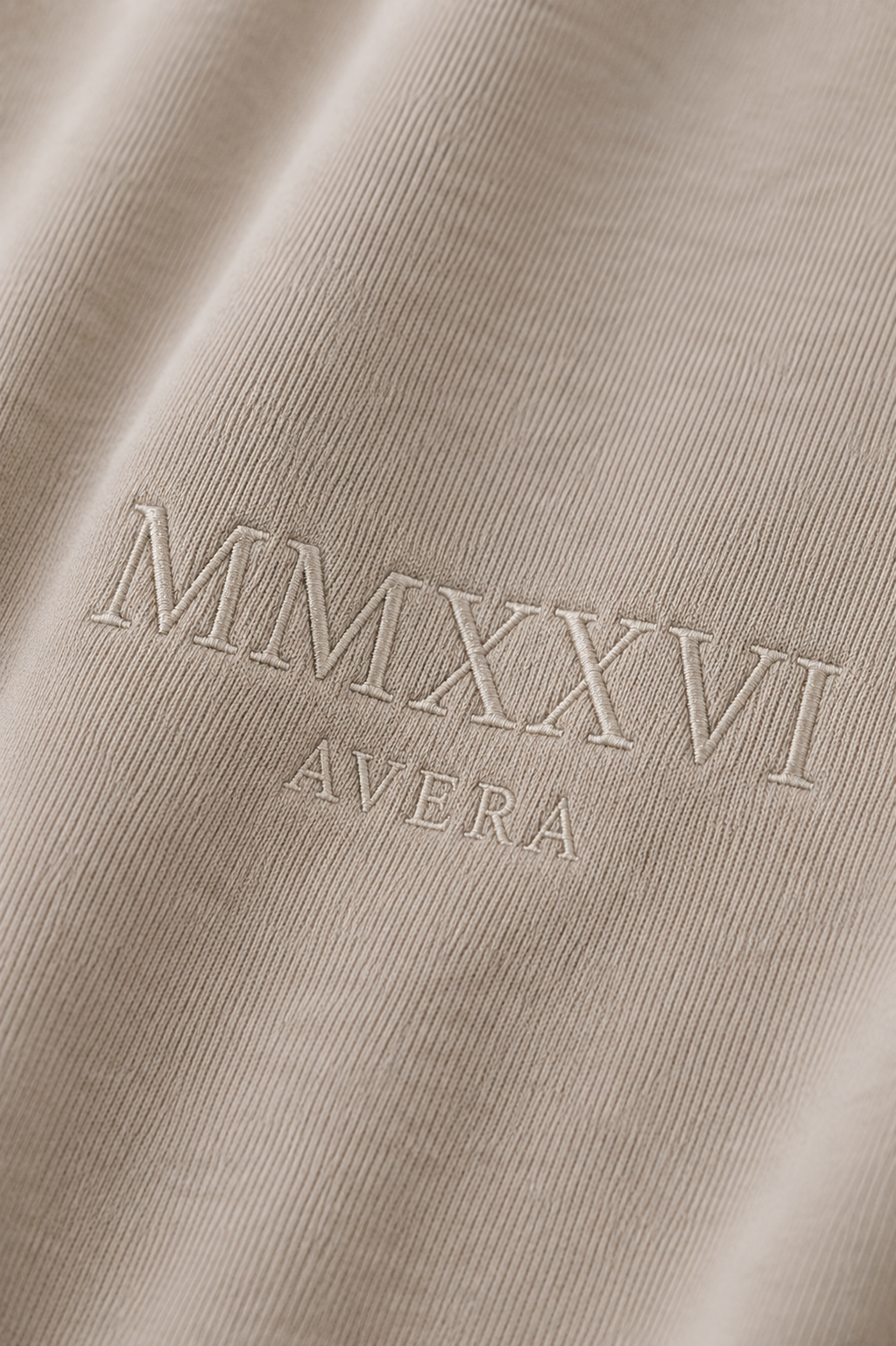 MMXXVI Heavy Oversized Tee